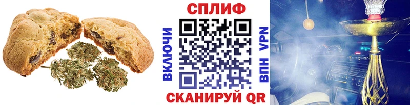 наркотики  omg вход  Печенье с ТГК марихуана  Цимлянск 
