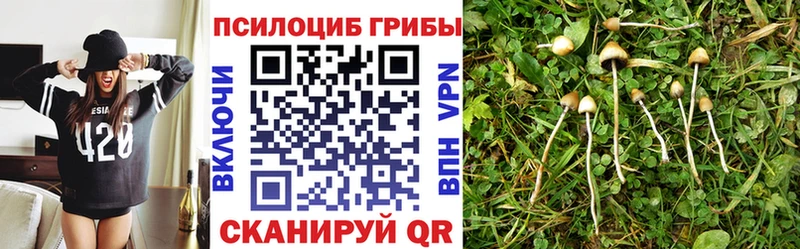 Псилоцибиновые грибы ЛСД  mega маркетплейс  Цимлянск  сайты даркнета телеграм  закладка 